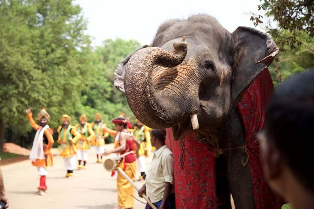 Sigiriya – Elephant