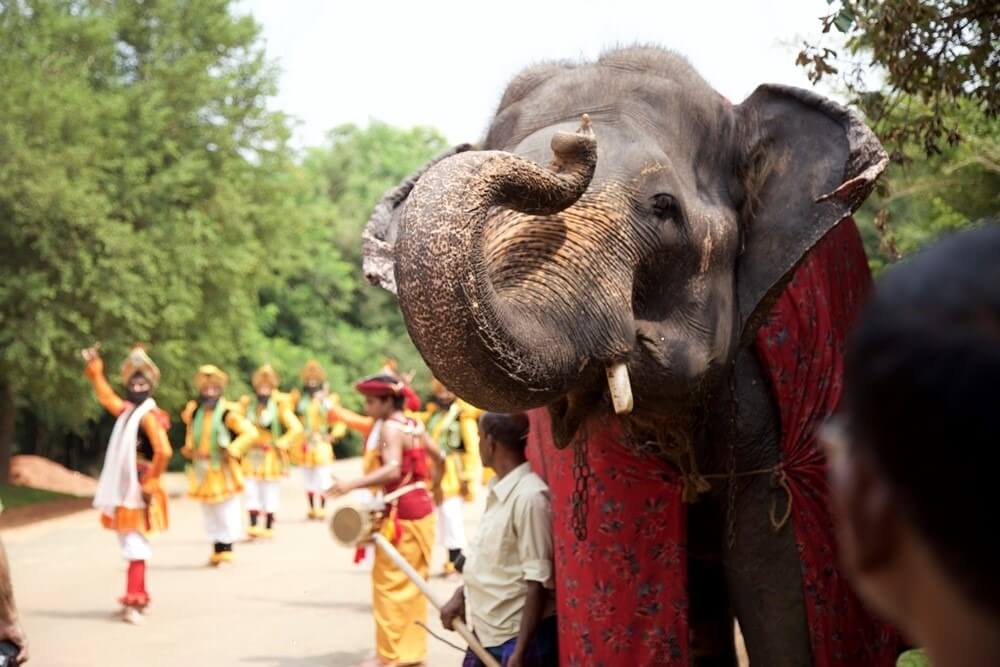 TOUR GUIDATI IN SRI LANKA