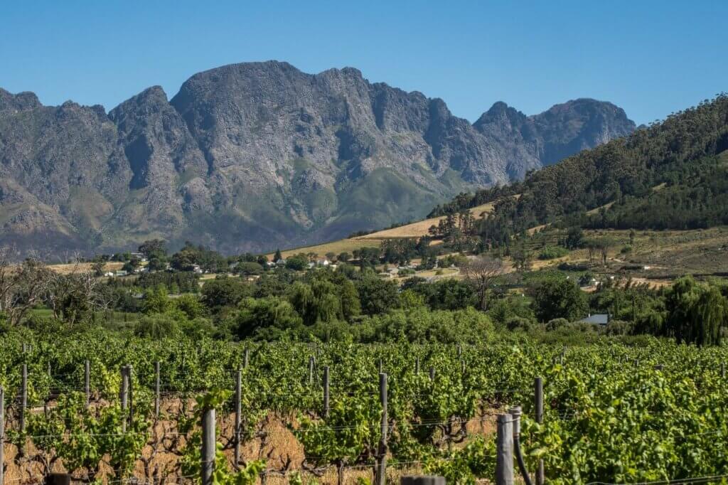 Cape Winelands