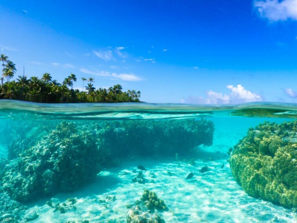 Daytour Catamaran Trip to Tetiaroa 4