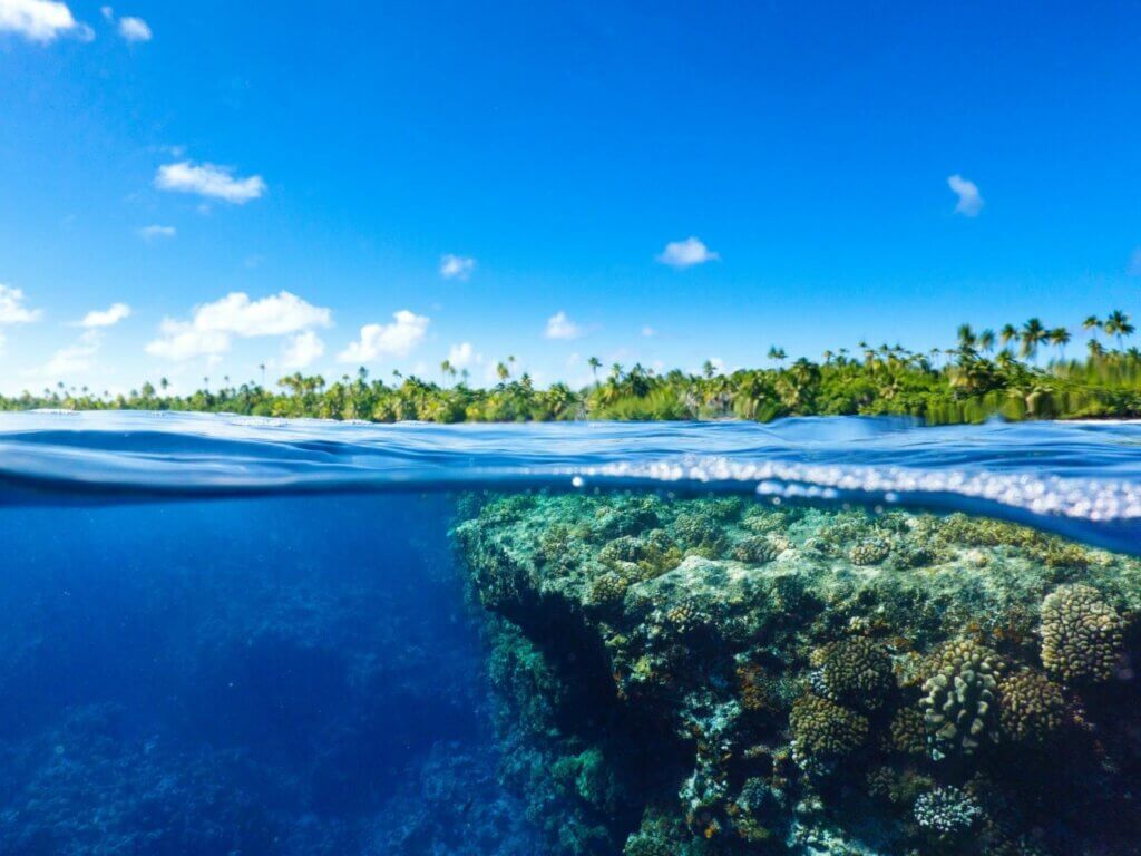 Daytour Catamaran Trip to Tetiaroa 5