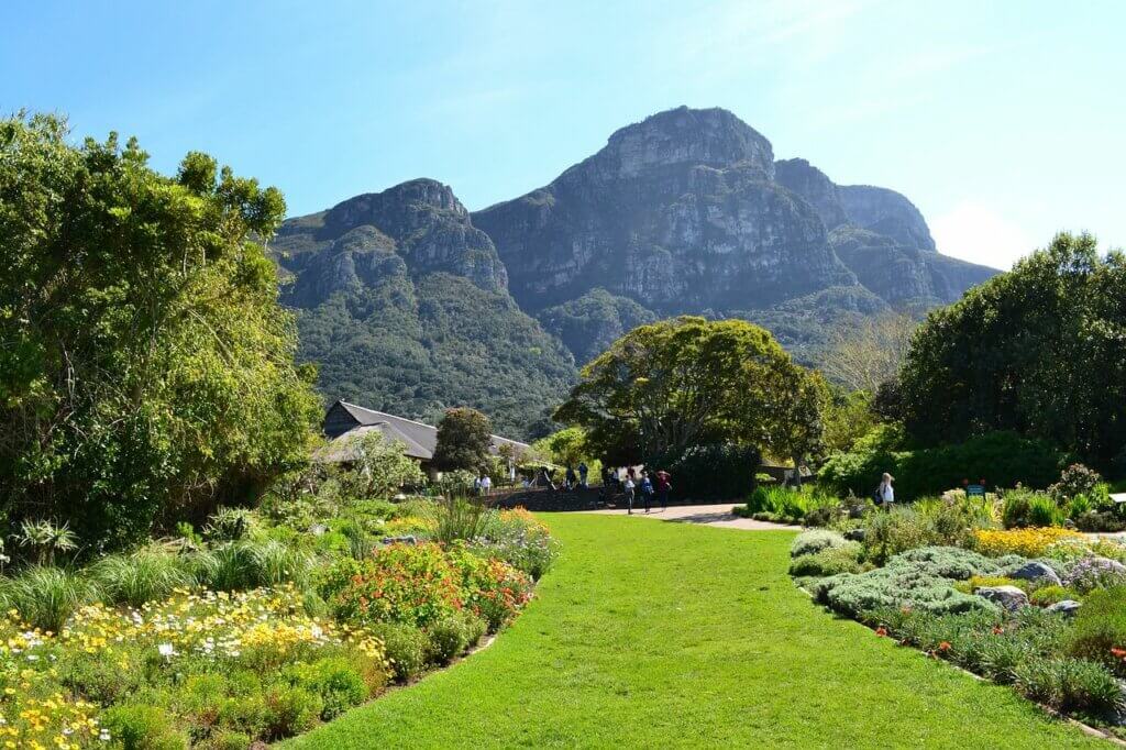 Kirstenbosch – 1