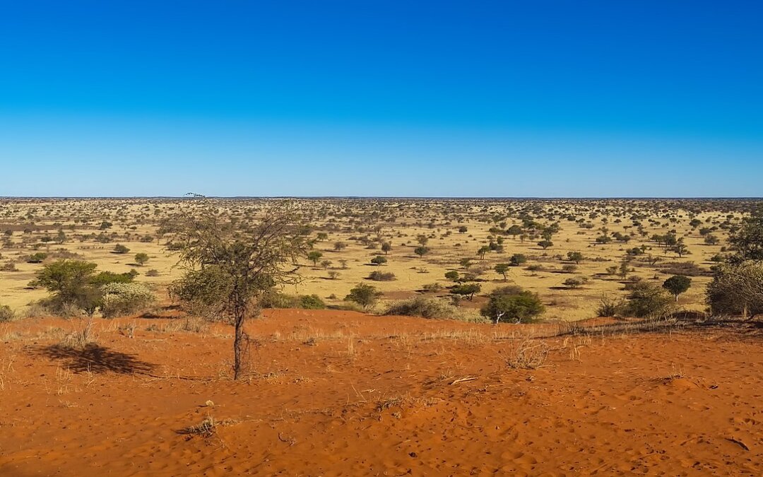 SCOPRI LA NAMIBIA