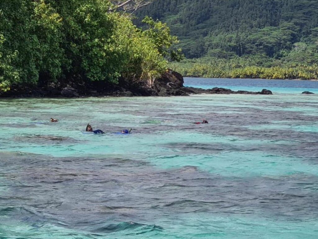 Matairea Lagoon Tour & Tasty Vegetarian Motu Lunch 5