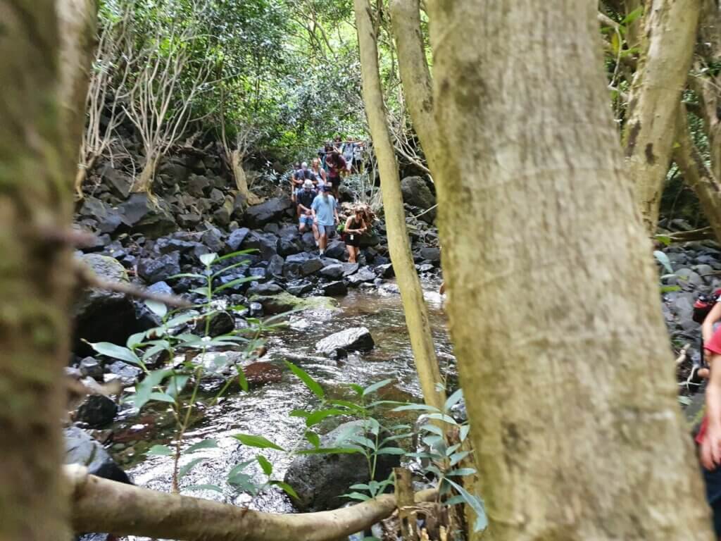 Tahiti Trekking a Fautaua Valley 1