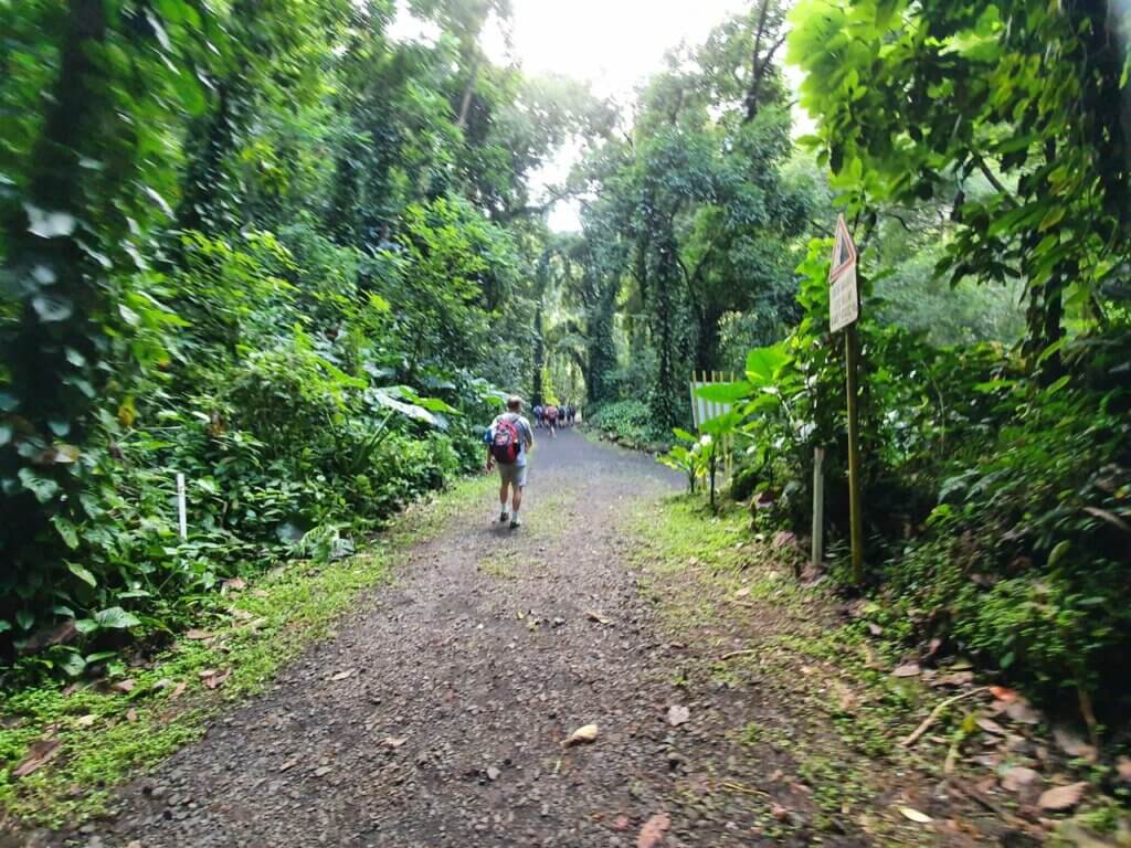 Tahiti Trekking a Fautaua Valley 2