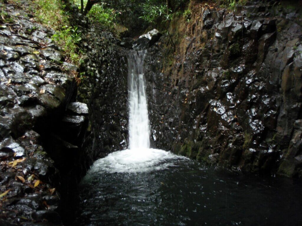 Tahiti Trekking a Fautaua Valley 3