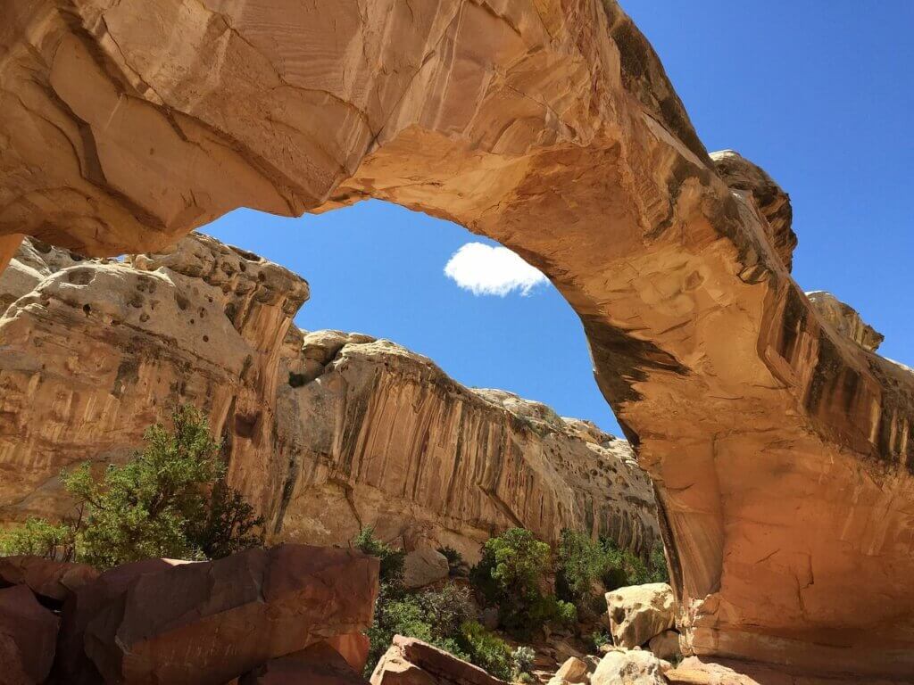 Capitol Reef NP 1