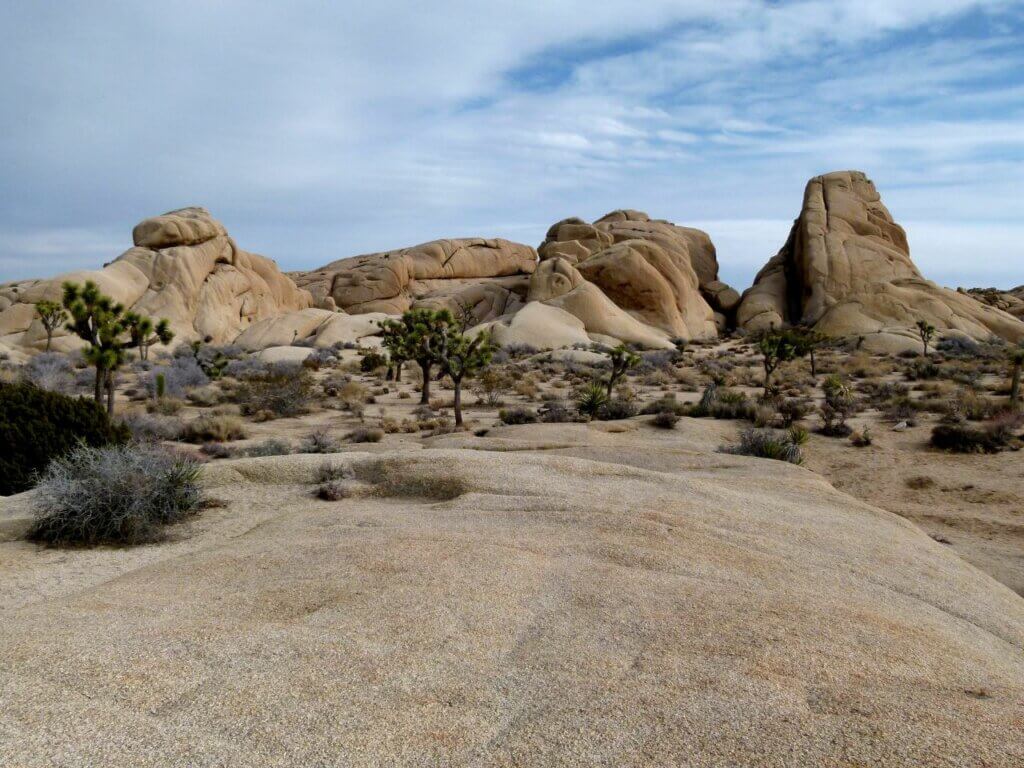 Joshua Tree NP