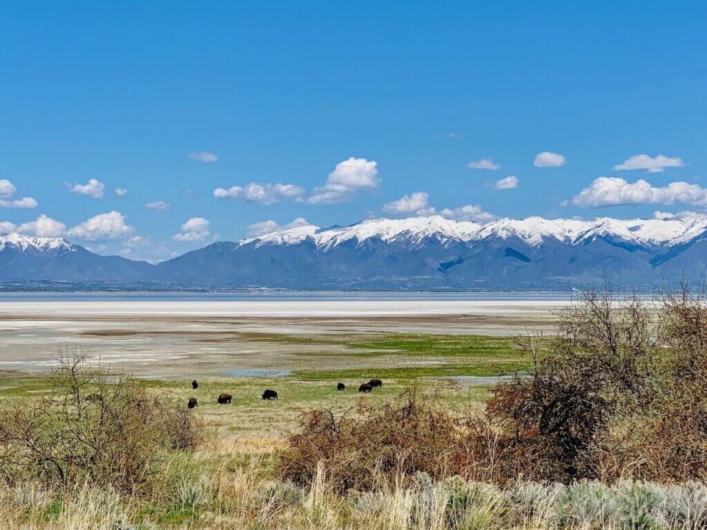 Antelope Island