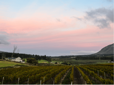 hemel-en-Aarde