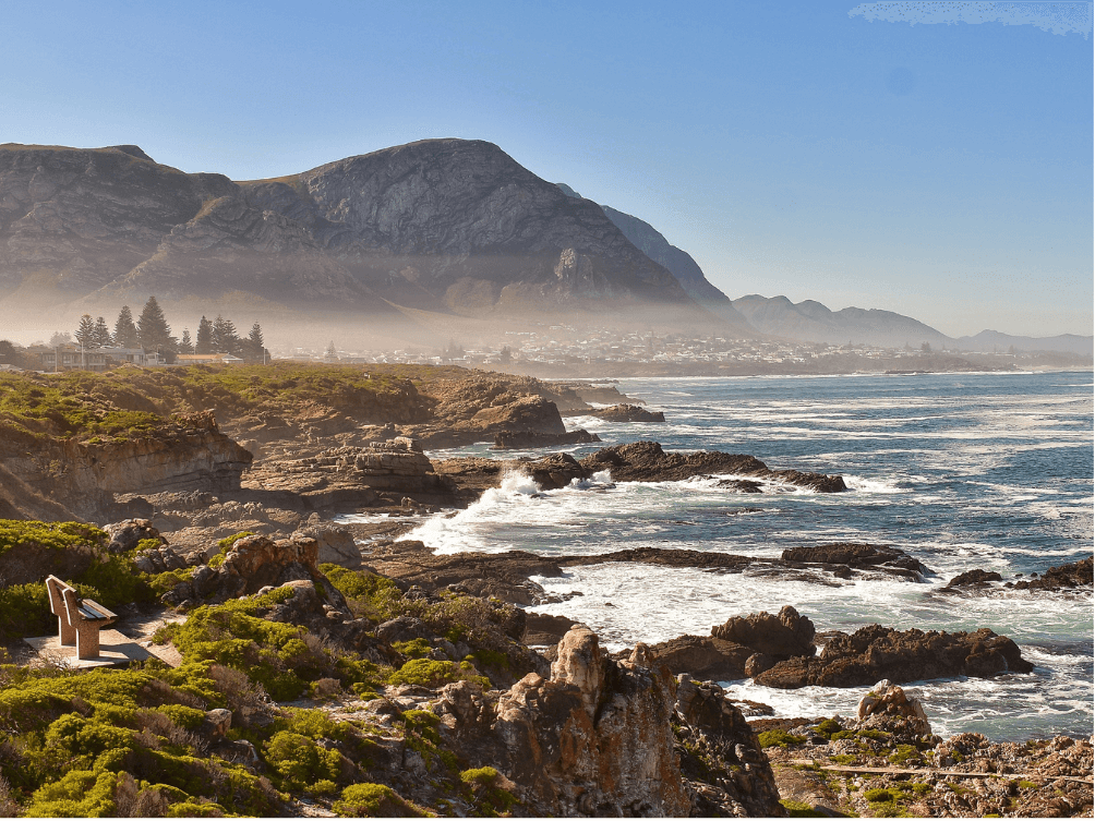 hermanus[1]