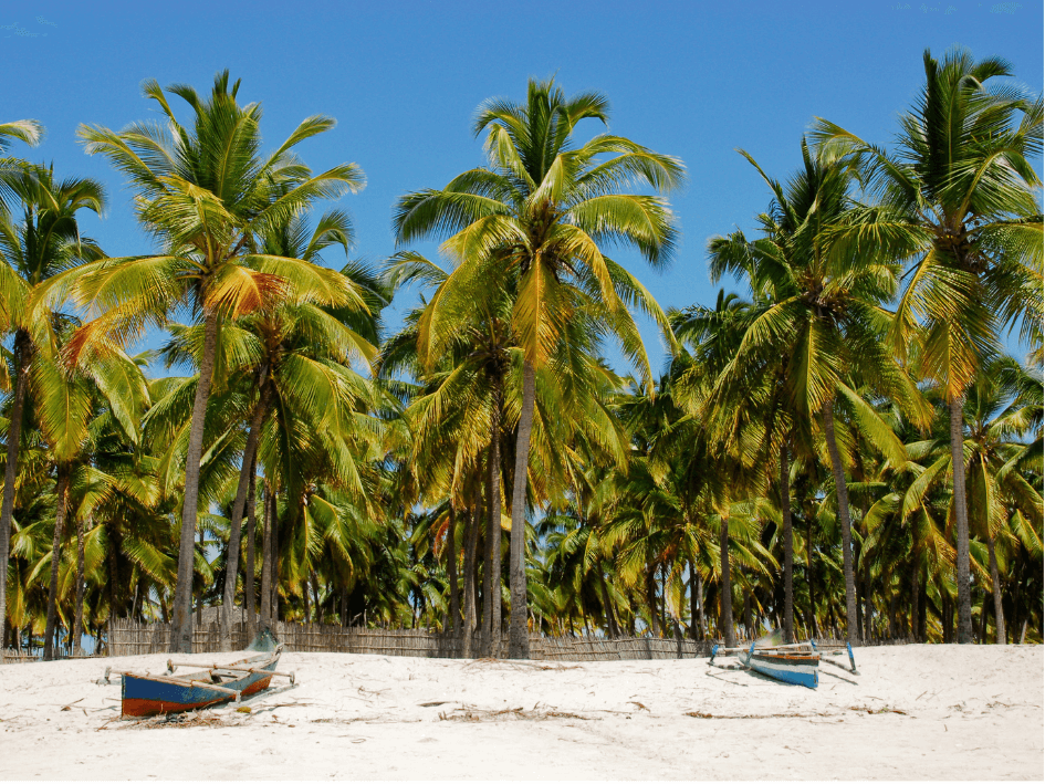 mozambico[1]