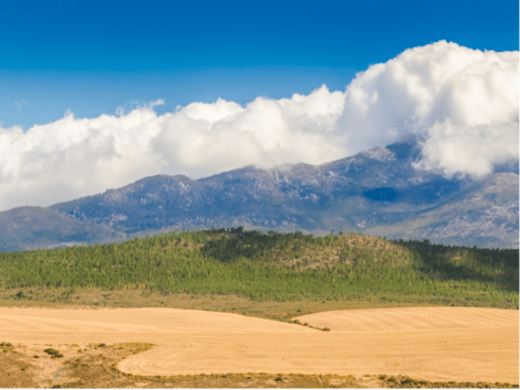 swellendam[1]
