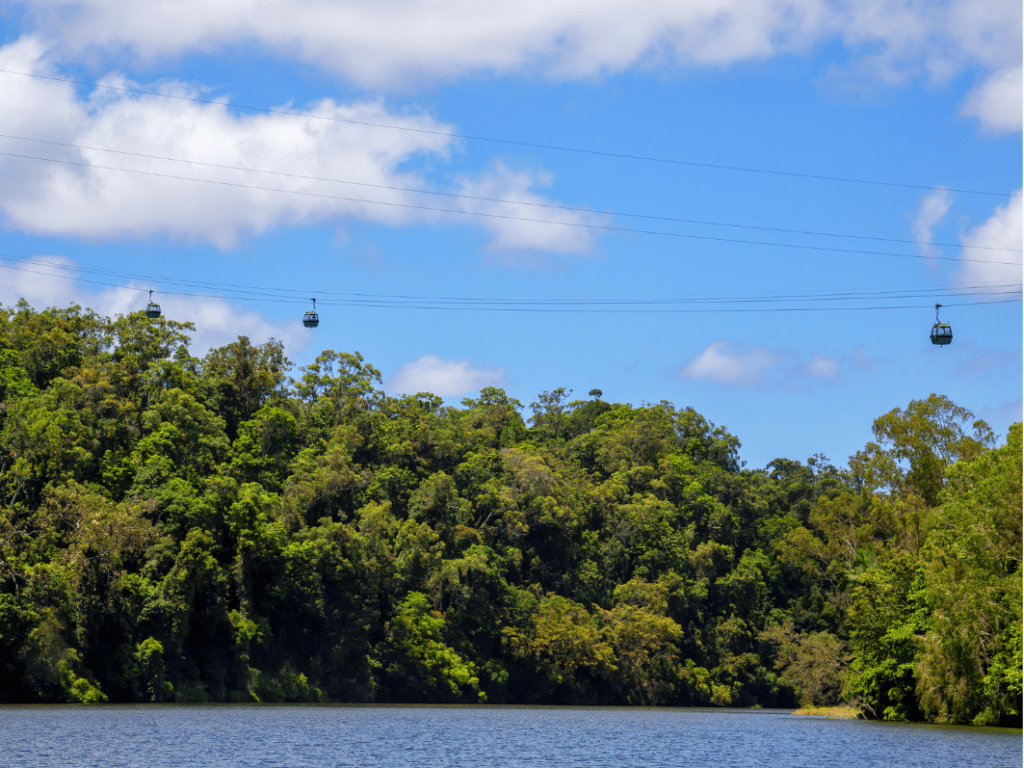 Skyrail_Rainforest_Cableway[1]