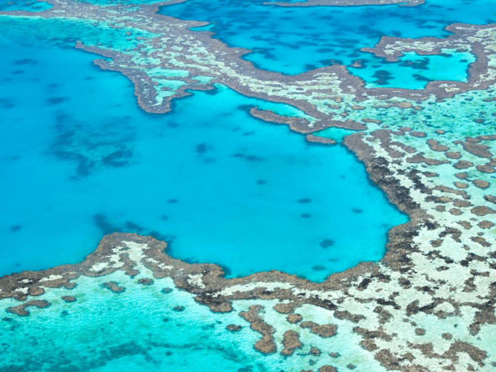 great_barrier_reef[1]