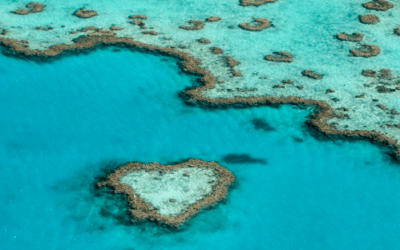Escursioni di intera giornata alla Great Barrier Reef – guida alla scelta
