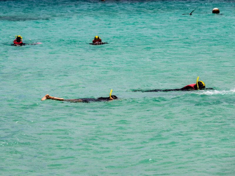 Michealmas Cay Snorkeling