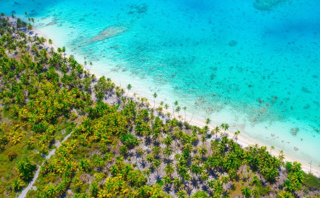 fakarava