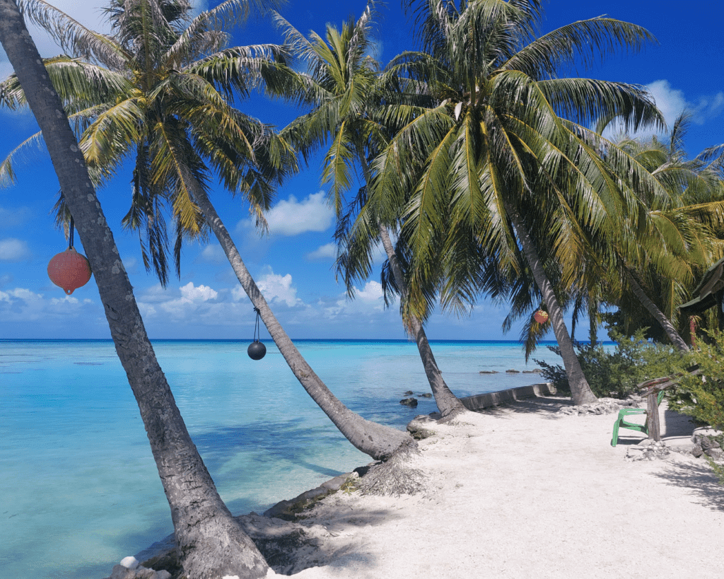 Viaggio di gruppo Polinesia Francese 4